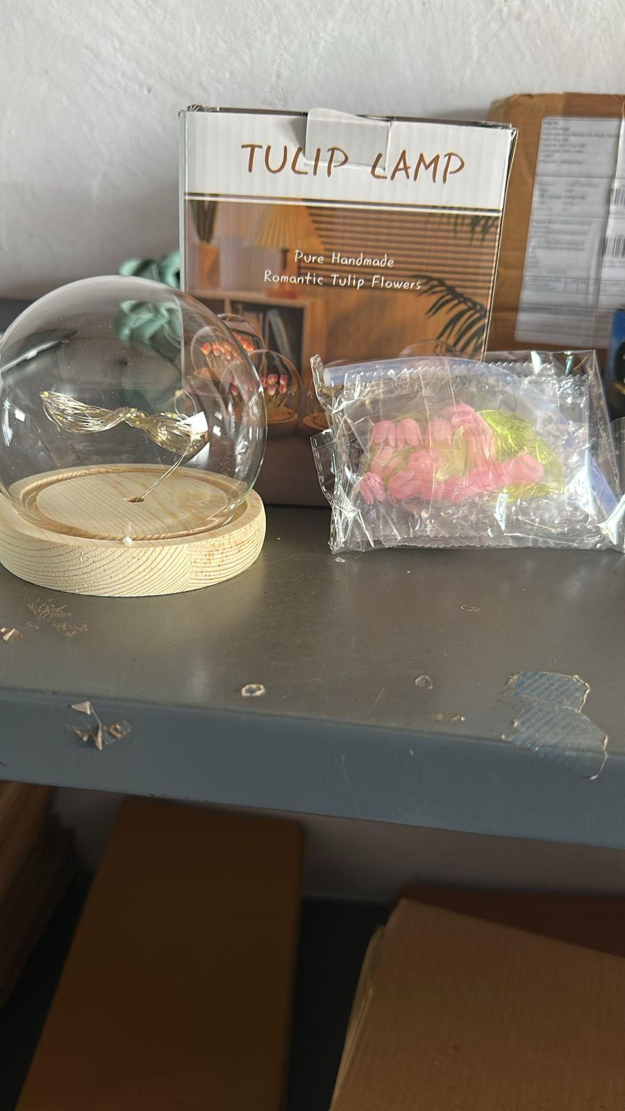 Round Tulip Light k72d12-5v